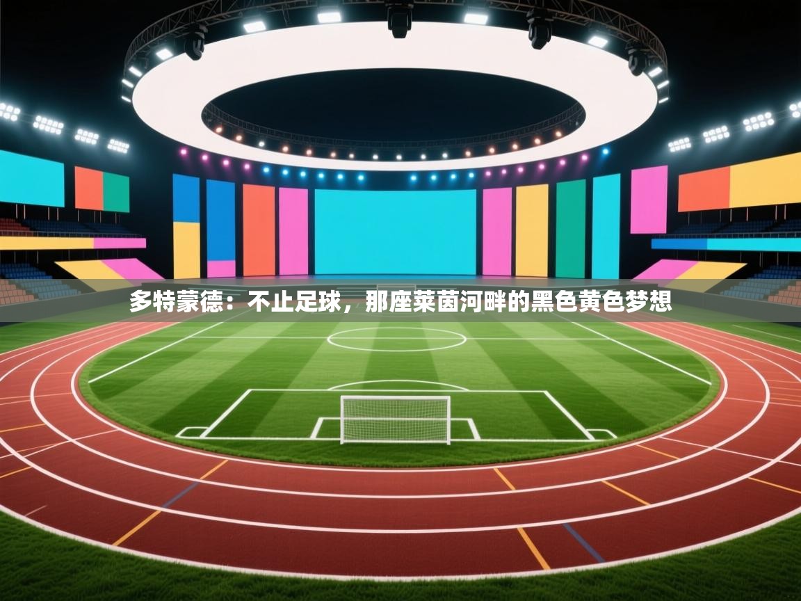多特蒙德：不止足球，那座莱茵河畔的黑色黄色梦想  第2张