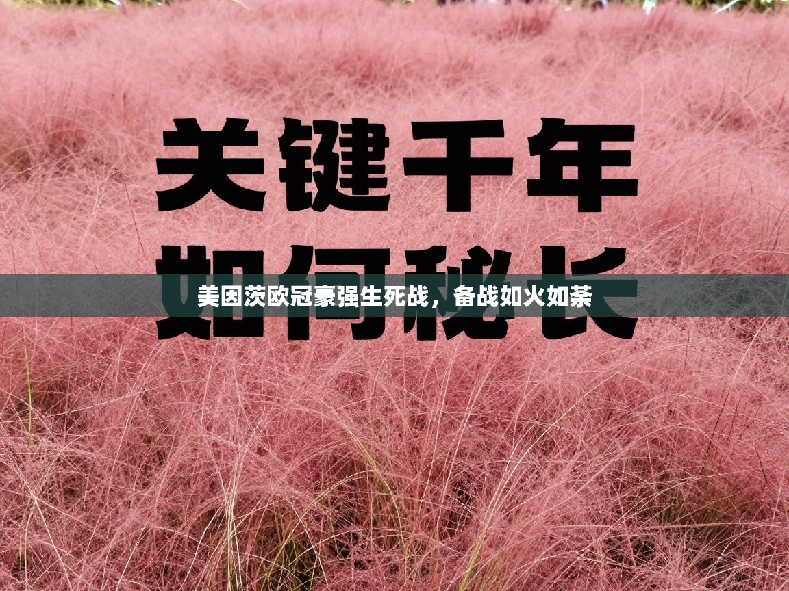 美因茨欧冠豪强生死战,备战如火如荼 第2张