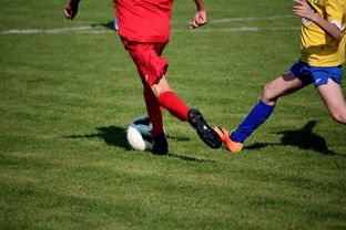 爱游戏官网充值-五大联赛是否推动球员通过站位节奏学习适应战术切换，五大联赛地位  第2张